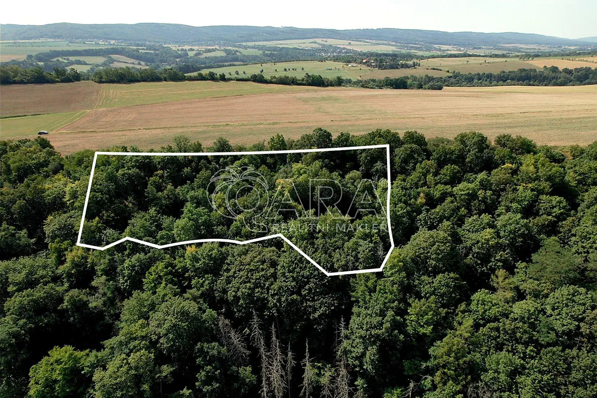 Prodej sadu, vinice 9074 m²